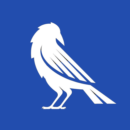 Karin - External Senior Software Engineer at Ravencord