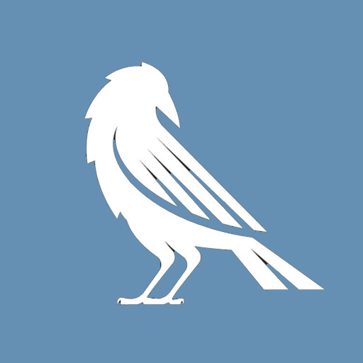 Magnus - External Full-Stack Developer at Ravencord