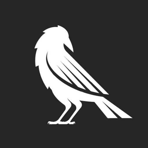 Rui - Founder and Technical Director at Ravencord